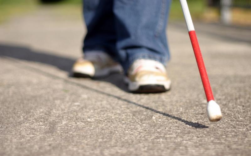 The government provides an economic safety net for the poor, disabled and blind through Supplemental Security Income payments.