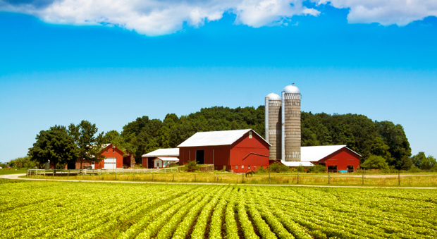 The 'farm' may be the least of the Farm Bill  